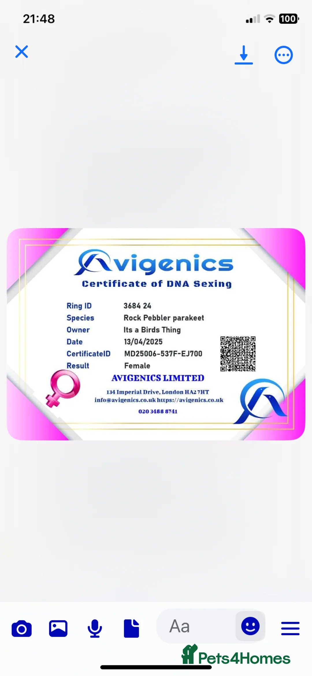 Ringnecks birds for sale: Hen rock Pebbler dna sexed  - Advert 5