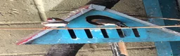Finches birds for sale: MIXED FINCHES  in Coalville - Advert 7