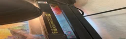 Chameleon reptiles for sale: Nosy B Cameleon - Advert 16