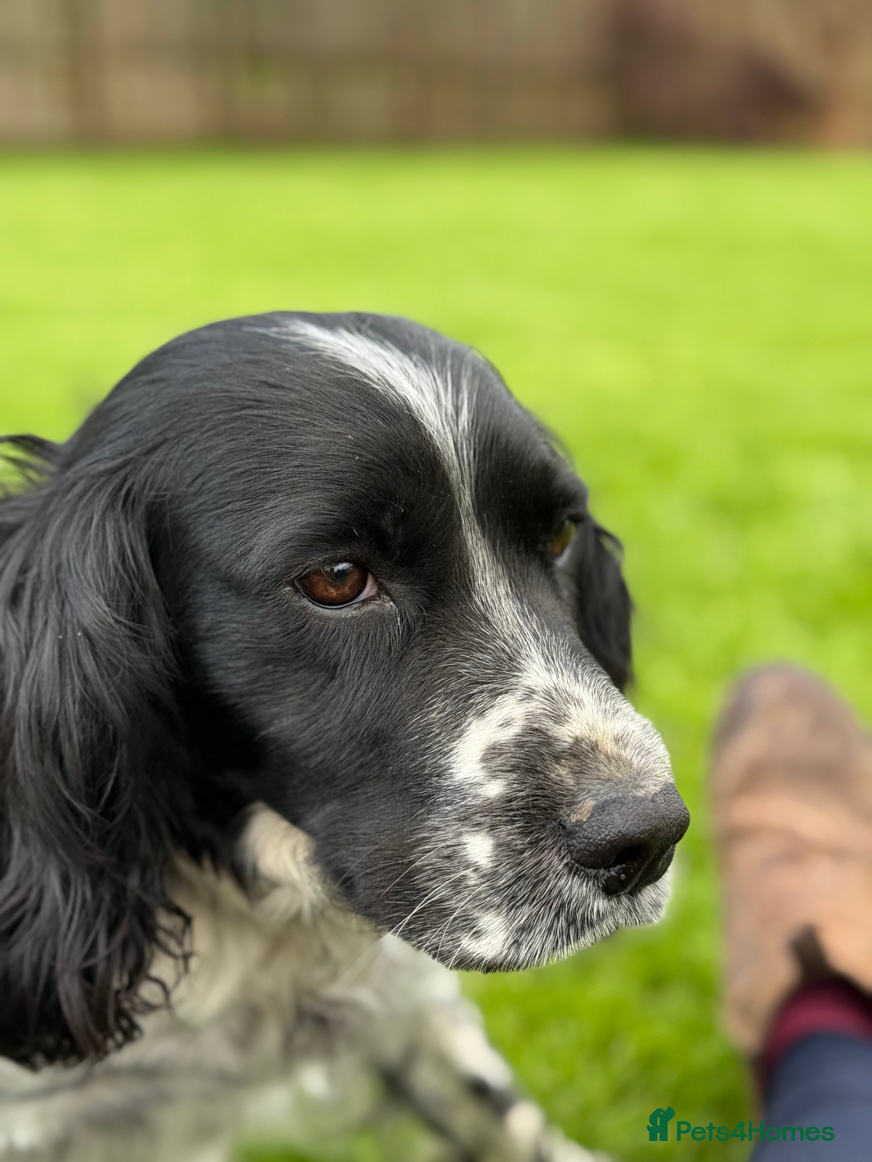 Maggie 