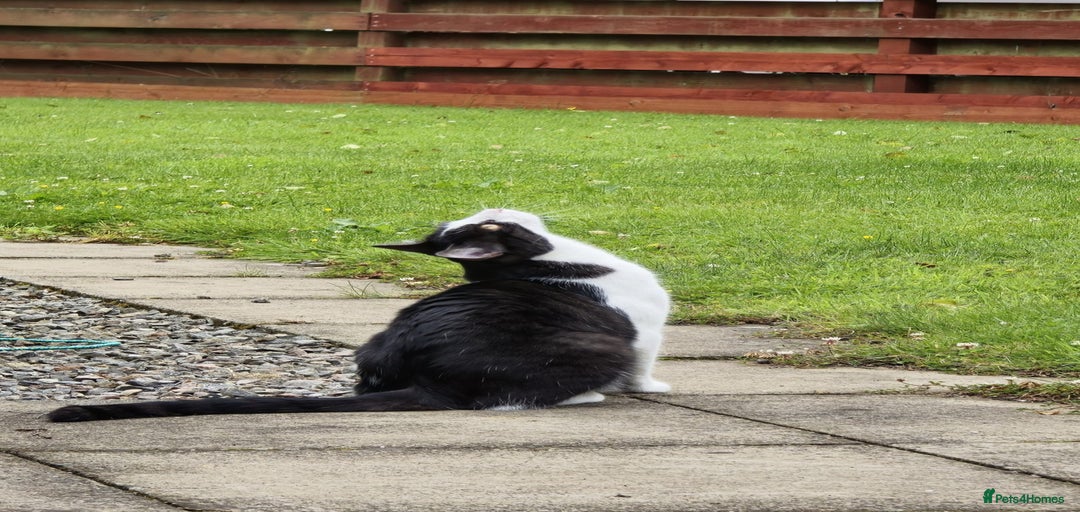 Gallery Image {{count}}