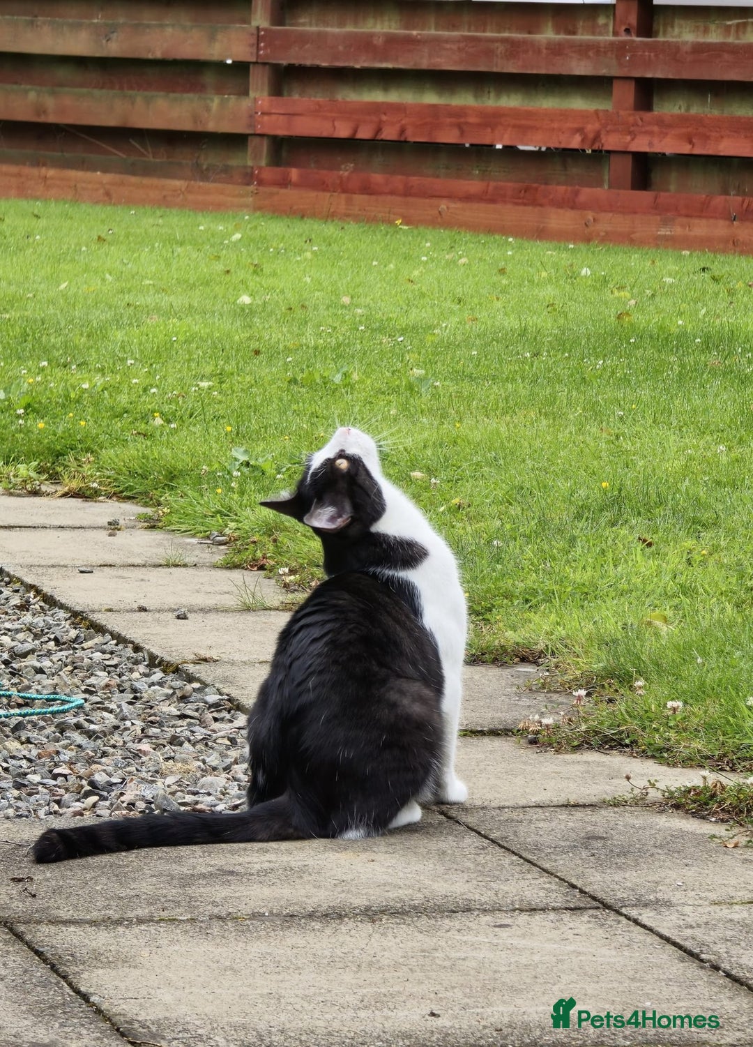 Gallery Image {{count}}