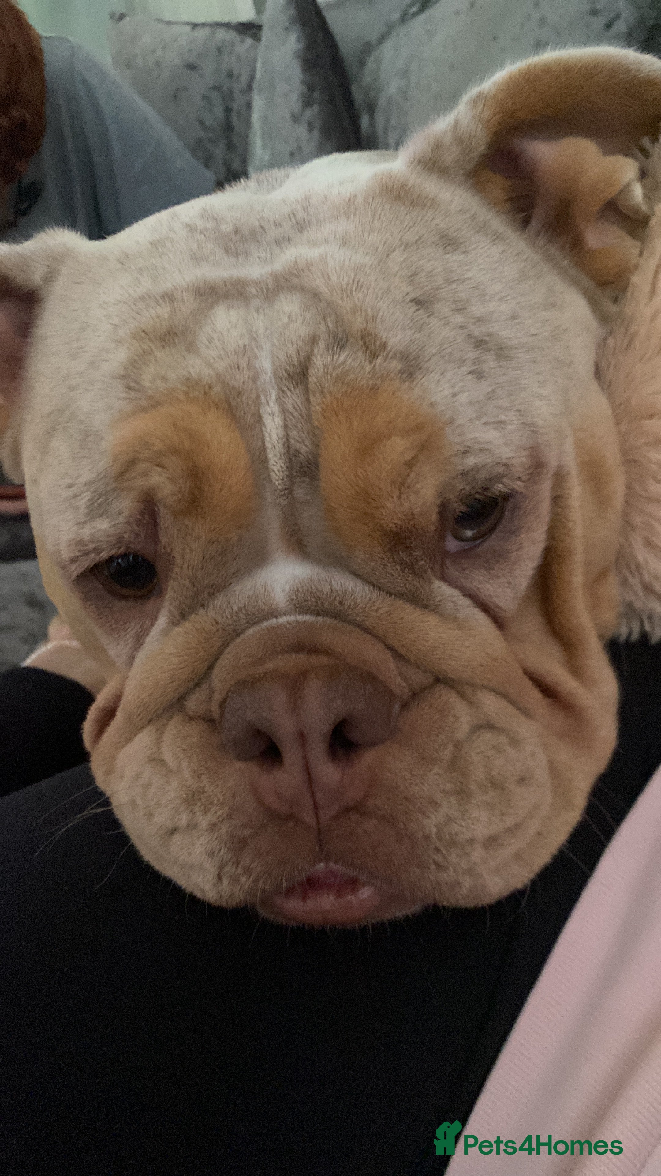 Charlie