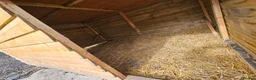 Goats livestock for sale: Animal shelter  - Advert 6
