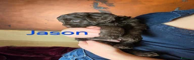 Jason