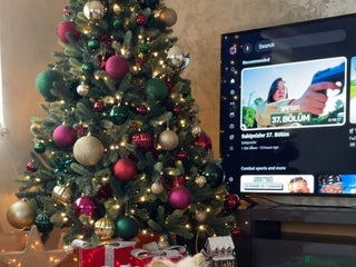 Pomeranian dogs Loui (Boy) - Advert 4