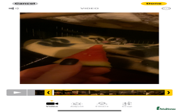 Sugar Glider rodents for sale: 2 male sugar gliders  - Advert 4