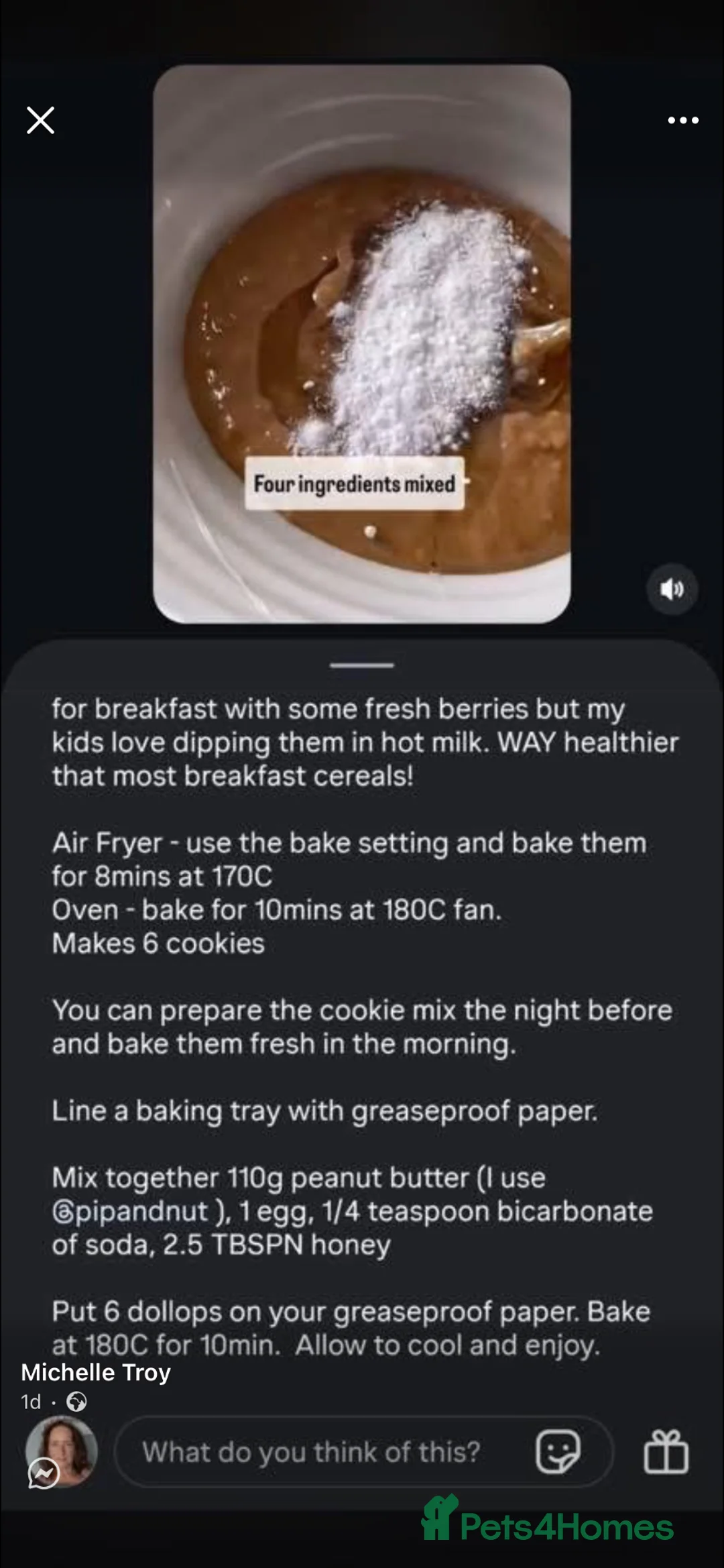 British Shorthair cats for sale: Silver British Shorthair kittens  - Advert 2