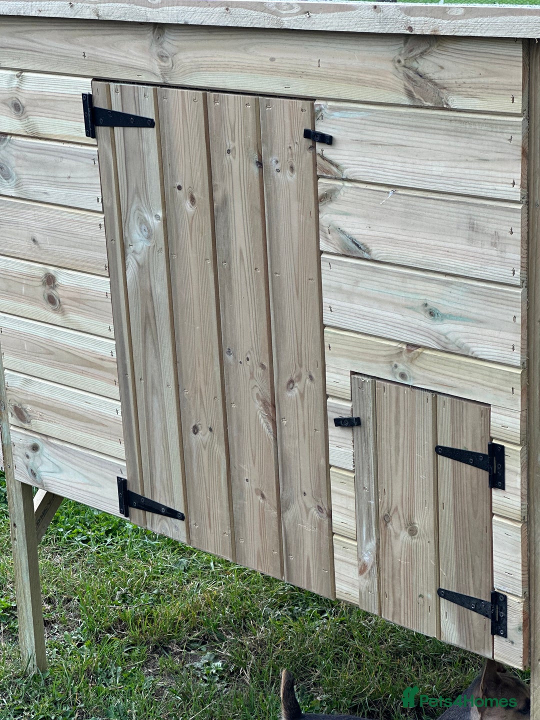 Chickens poultry for sale: Chicken Coops - excellent quality - British Made - Image 9