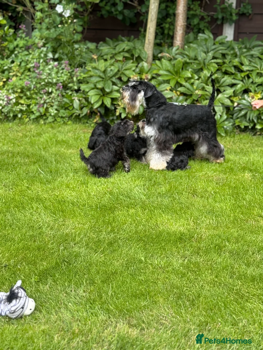 Gallery Image {{count}}