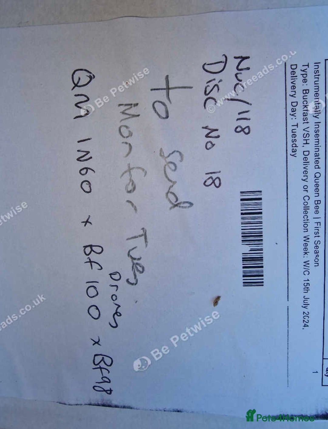 Mixed Breed invertebrates for sale: Over Wintered Nucs for sale. Buckfast Honey Bees.  - Advert 3