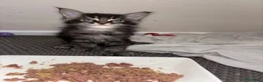 Jim