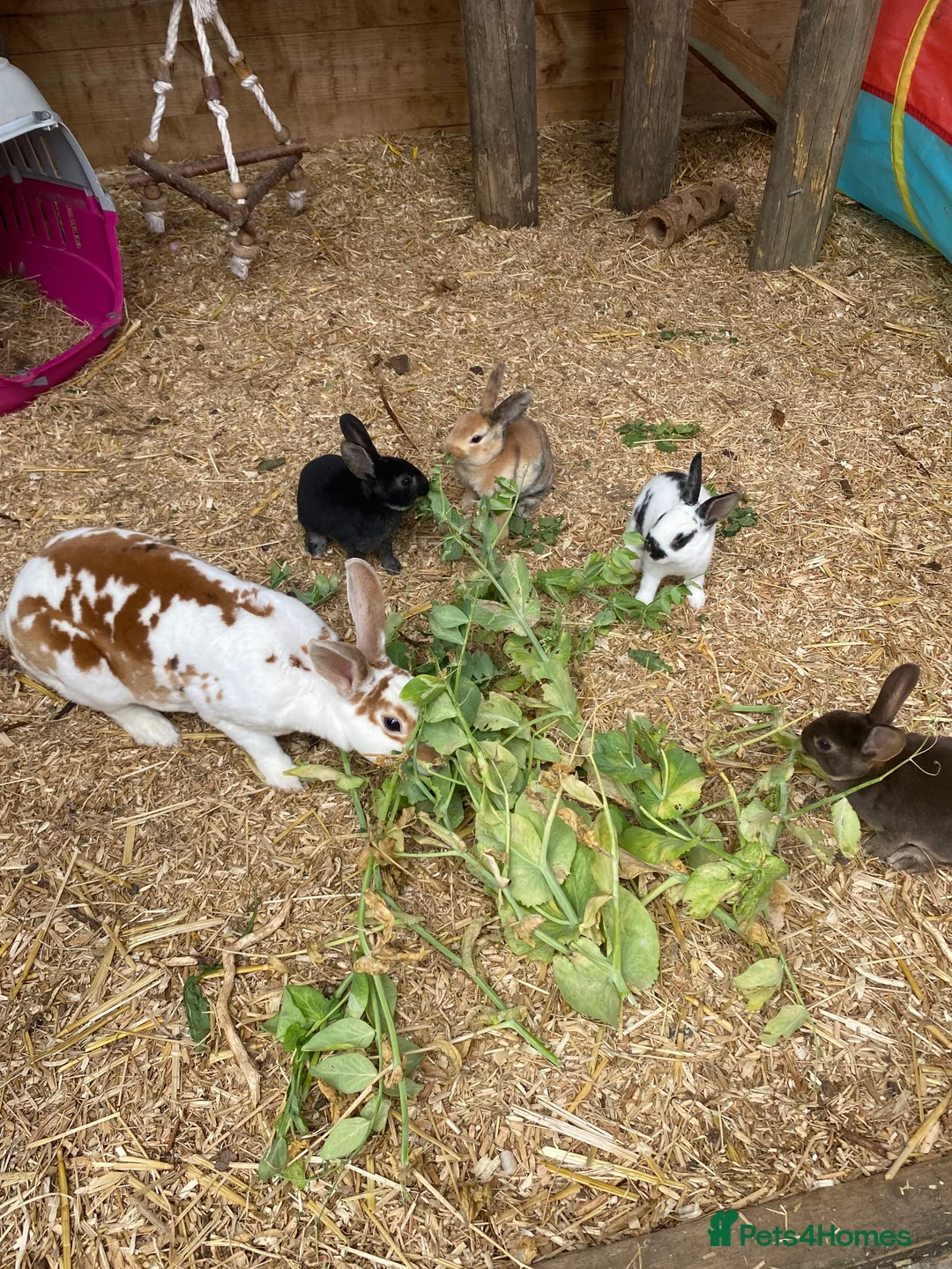 Gallery Image {{count}}