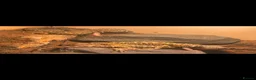 Gecko reptiles for sale: 3 Dune Geckos (Stenodactylus S) + Complete Setup - Advert 2
