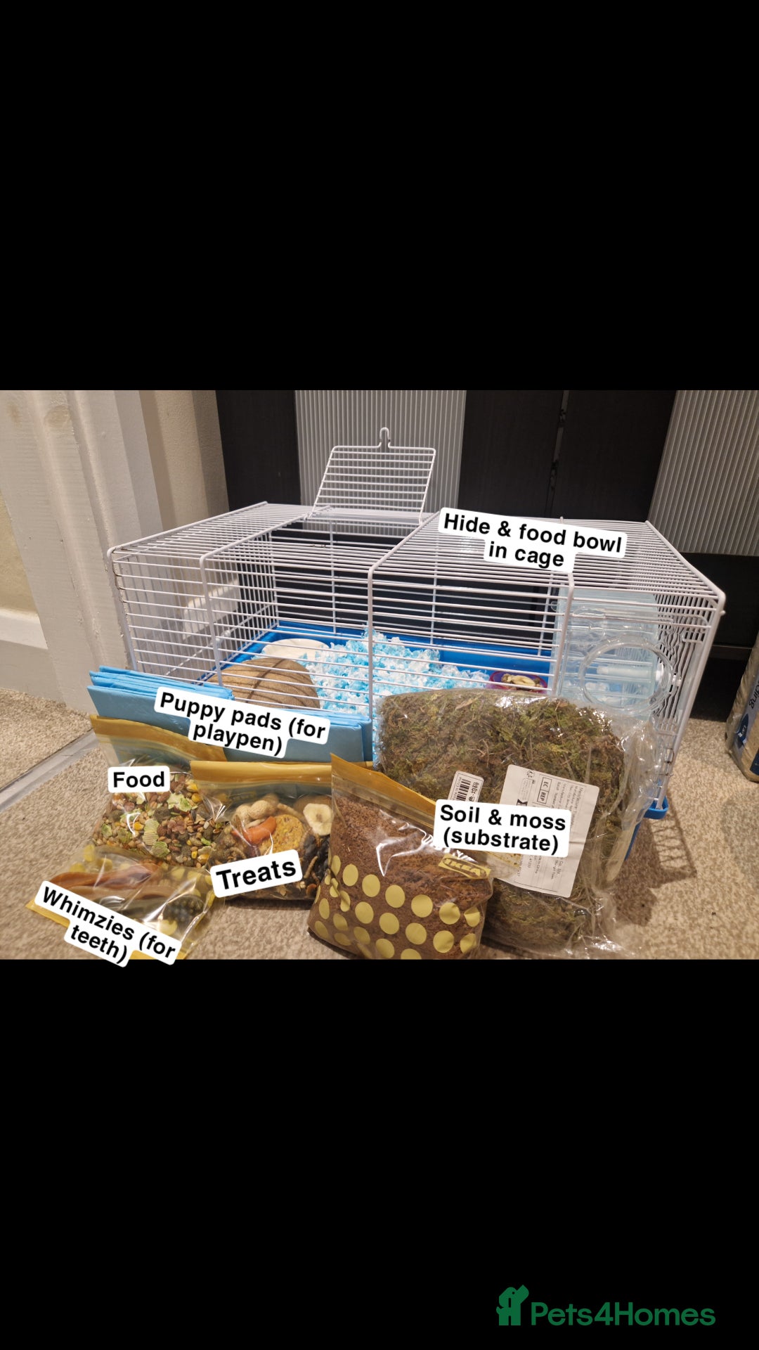Hamster rodents for sale: Hamster with cage & accessories  - Image 5