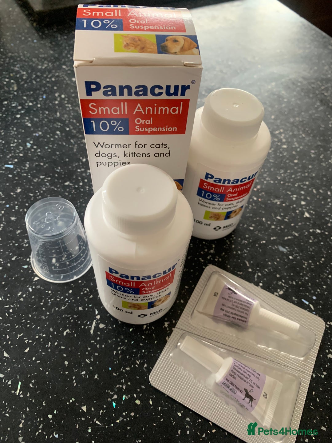 Cocker Spaniel dogs for sale: PURE CHOCOLATE WORKING COCKER SPANIELS  - Advert 12