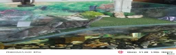 Turtle reptiles for sale: 4 Turtles and large aquarium  - Advert 4