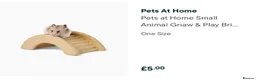 Rat rodents for sale: Loving Home Wanted for Two Male Rats + Full Setup - Advert 12