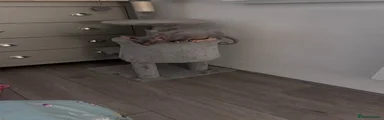 Sphynx 2