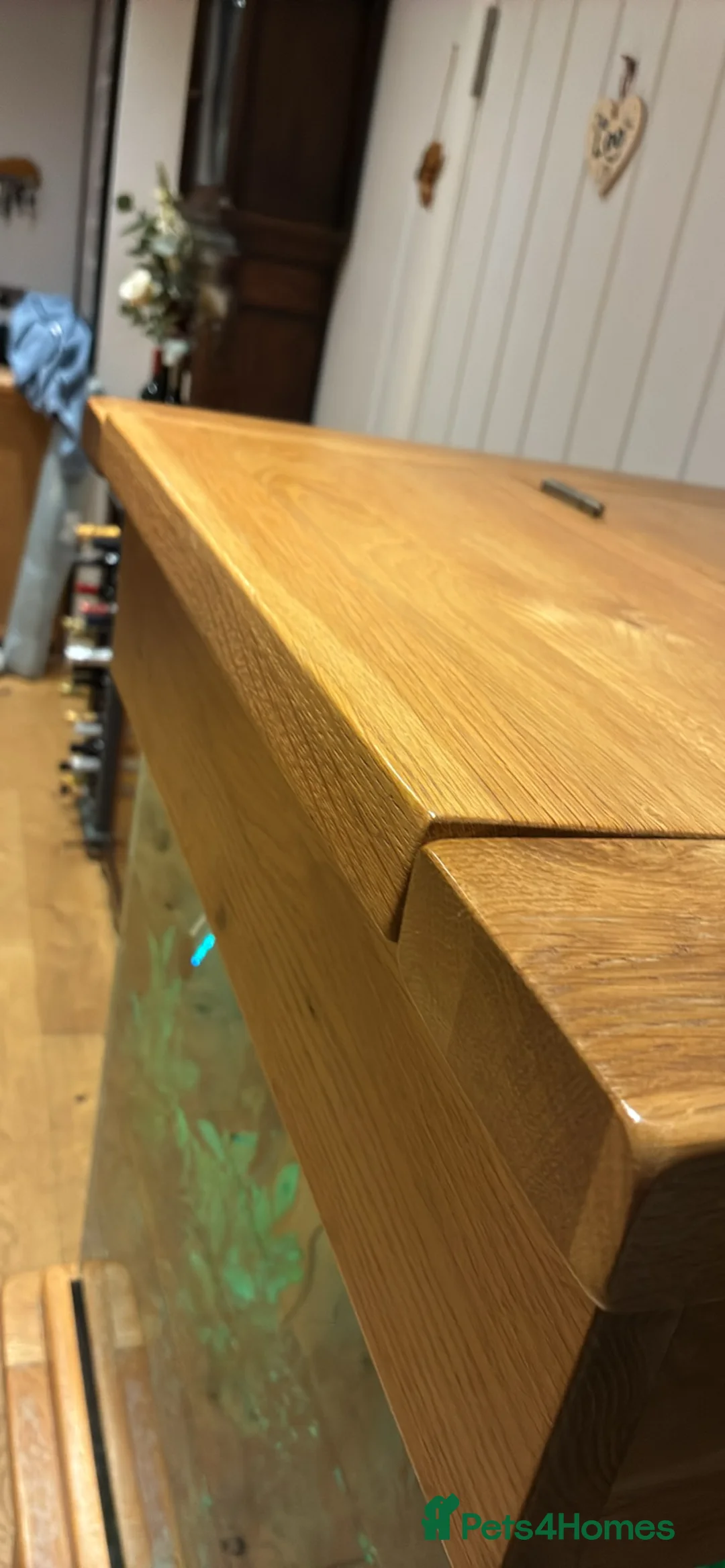 Other/Mixed Breed fish for sale: Tropical Fish and large cube fish tank - Advert 3