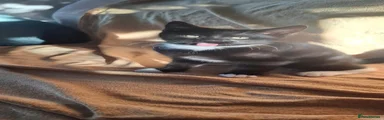 EB