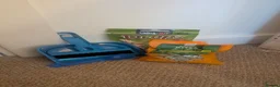 Hamster rodents for sale: Full Hamster Setup + Syrian Hamster Included - Advert 10