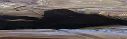 Labrador Retriever dogs for sale: Maggie Labrador mix collie  in Colchester - Advert 3