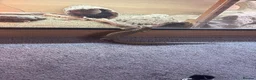 Monitor reptiles for sale: unsexed ackie monitor - Advert 3