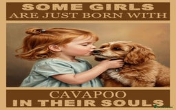 Cockapoo dogs for sale: Melt your heart ❤️ F1 Cockapoos - Image 9