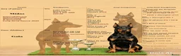Dobermann dogs for sale: Working / showline doberman pups  - Advert 9
