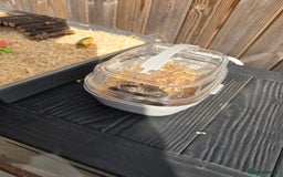 Hamster rodents for sale:  Hamster with Full Setup – Ready to Go! - Image 4