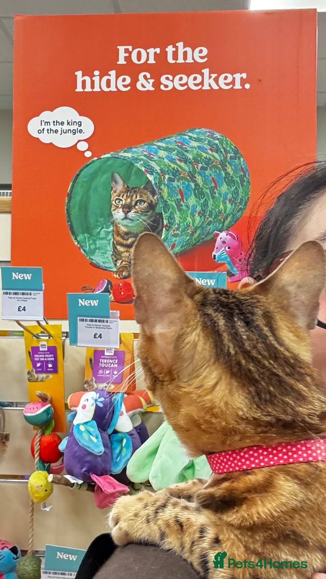 Gallery Image {{count}}