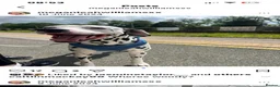 Dalmatian dogs for sale: Blue is looking for his second home *please read* in Lancaster - Advert 23