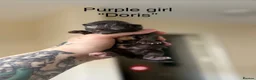 Domestic Shorthair cats for sale: 2 calico female kittens ready to reserve  - Advert 3