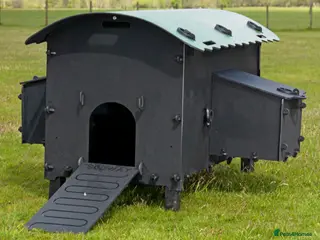 Mixed Breed poultry Maxi Hen Loft - Recycled - 4/6 hens - Advert 13