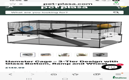 Gerbil rodents for sale: Mum and 3 baby gerbils and 2 boys  - Image 3