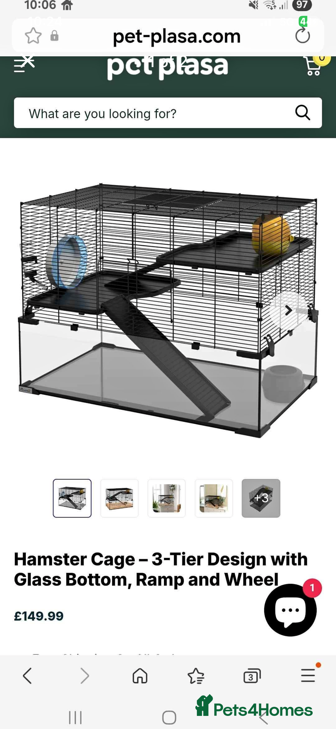 Gerbil rodents for sale: Mum and 3 baby gerbils and 2 boys  - Image 3