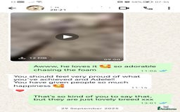 Maltipoo dogs for sale: DNA health tested maltipoo puppies  - Image 9