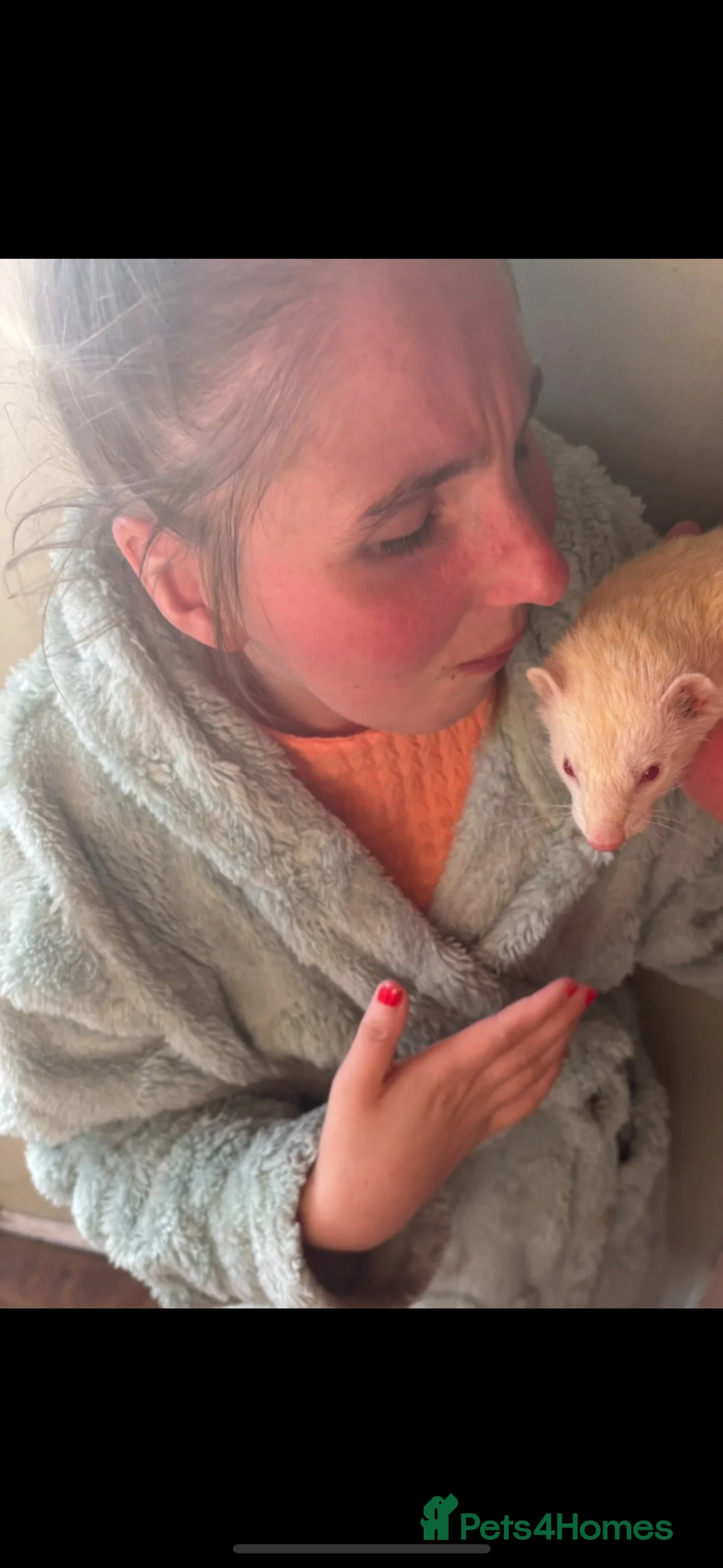 Ferret rodents for sale: Female ferret  in London - Advert 3