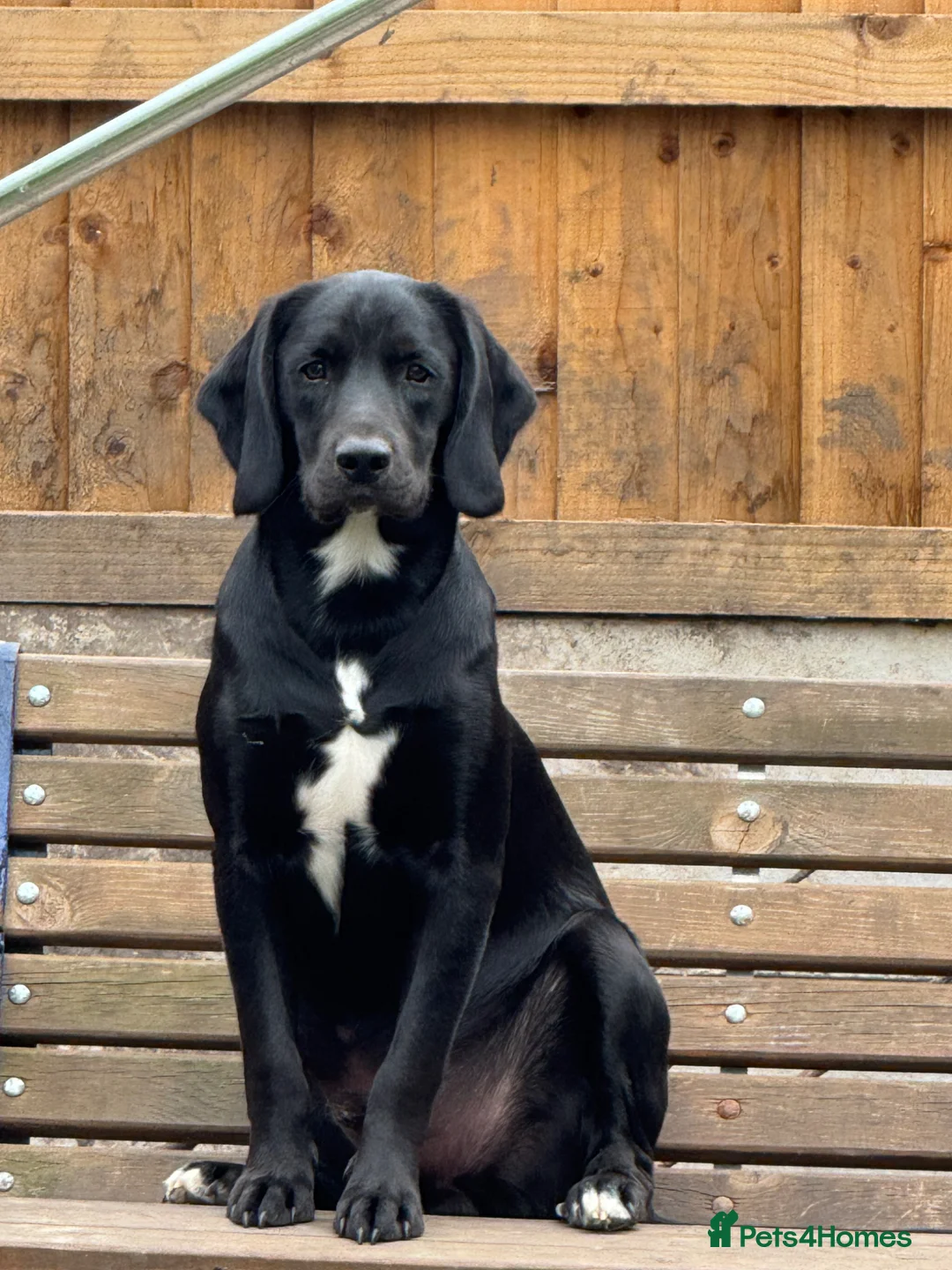 Gallery Image {{count}}