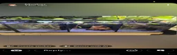 Bettas fish for sale: Aqua 1 trio betta tank  - Advert 1