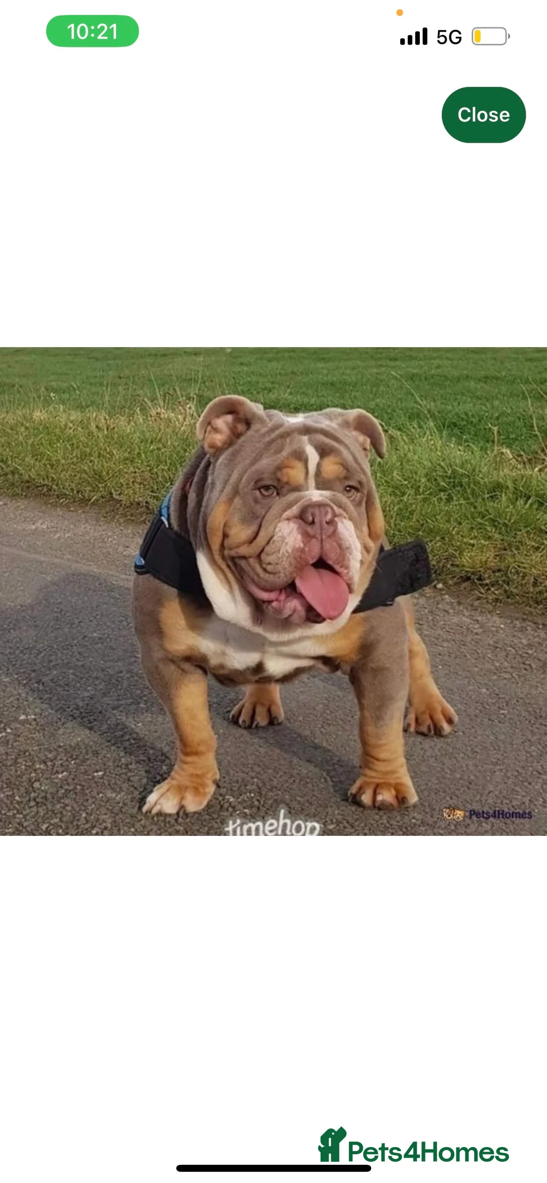 Gallery Image {{count}}