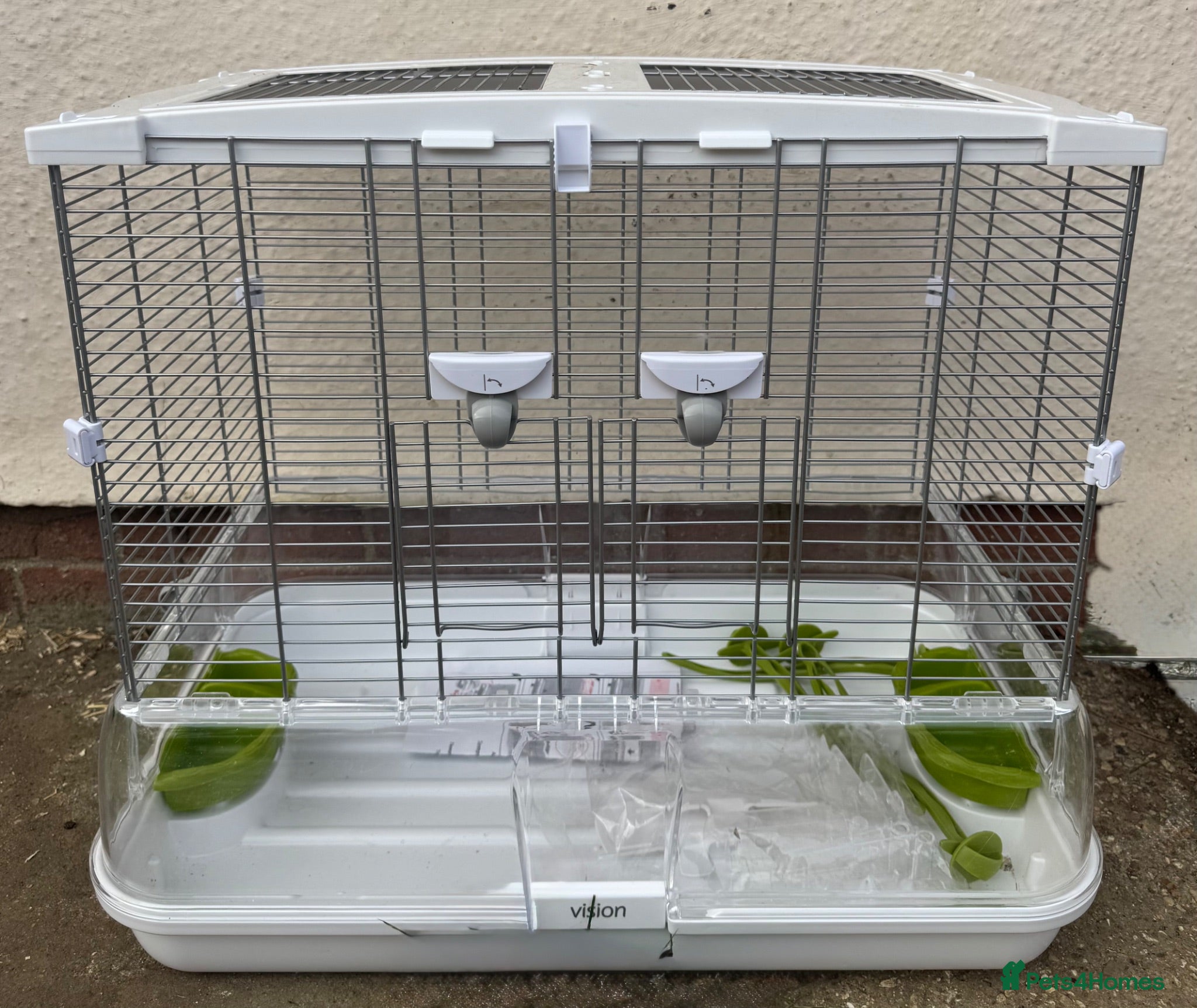 Lovebirds birds Hand reared baby lovebirds - Advert 2