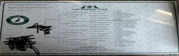 Belgian Shepherd Dog dogs for sale: KNPV BELGIAN MALINOIS SLEECKX in Stafford - Advert 8