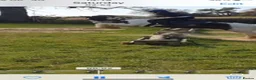 Irish Cob horses for sale: Koby handsome gelding  - Advert 8