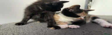 No names yet! 