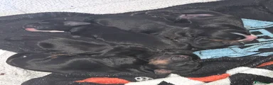 Black 2