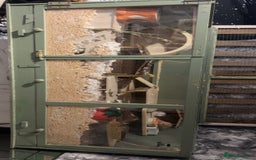 Hamster rodents for sale: CAGE ONLY NO HAMSTER  - Image 1