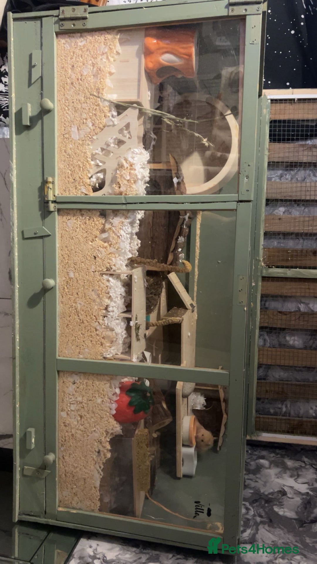 Hamster rodents for sale: CAGE ONLY NO HAMSTER  - Image 1