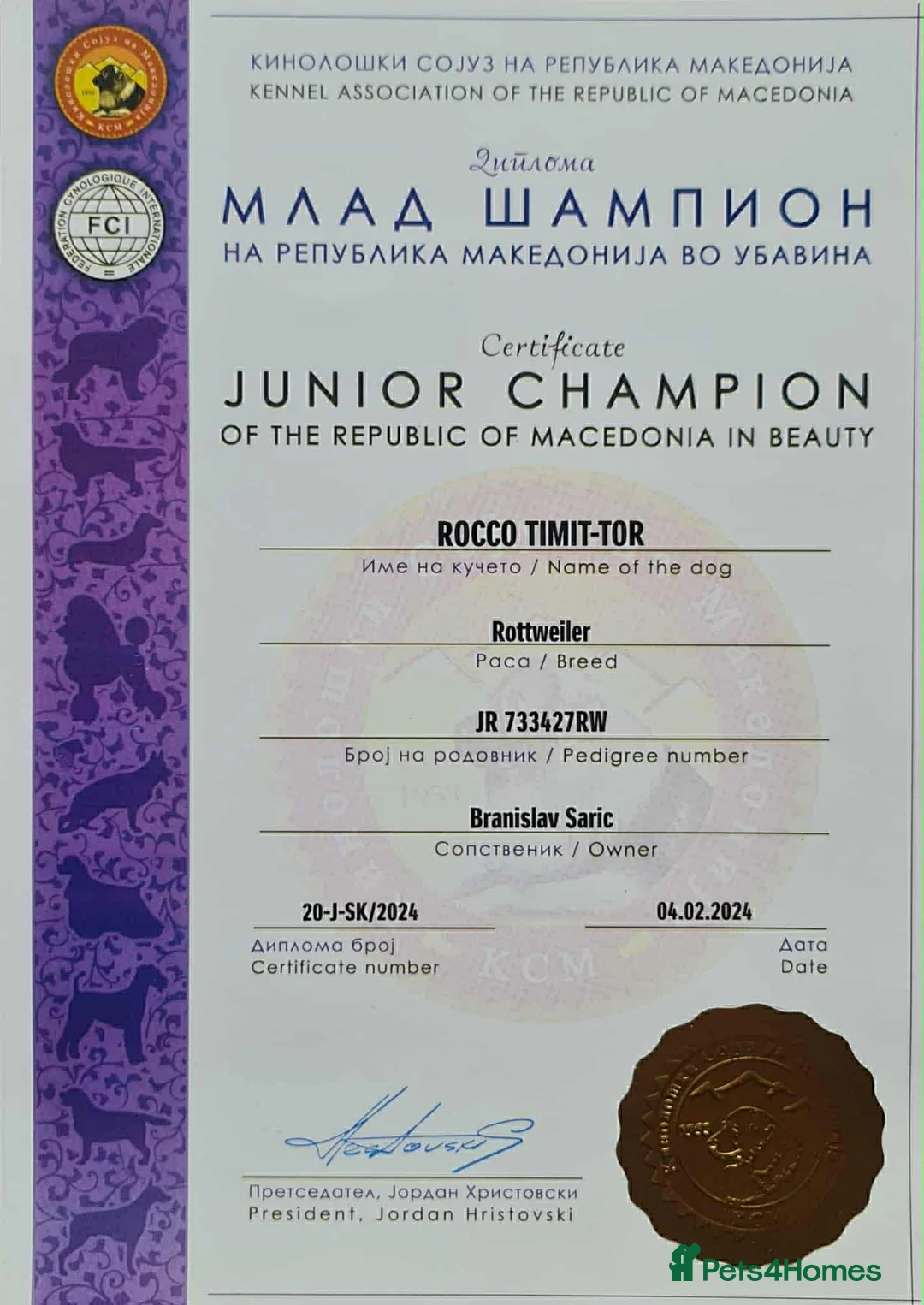 Rottweiler dogs for sale: Top quality kc pups for sale timitor X edelstein - Advert 33